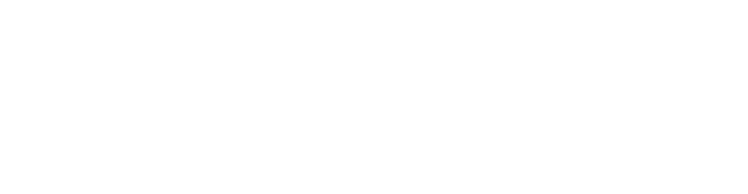 logo-white